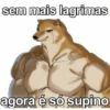 Academia/Treino 5