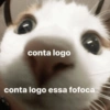 conta logo conta logo essa fofoca