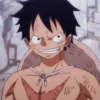 Monkey d. luffy 24