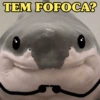 TEM FOFOCA?