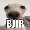 BJIR