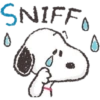 Snoopy 💗 6