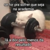 se for pra sofrer que seja na academia 481 lá a dor pelo menos da resultado