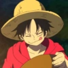 Monkey d. luffy 22