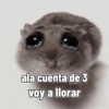 ala cuenta de 3 voy a llorar