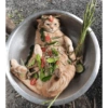 Cat meme 2 16