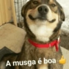 A musga é boa