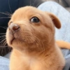 🐶🐕🦴PERRITOS | DOGS🦴🐕🐶 23