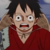 Monkey d. luffy 27