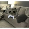 Hamster desesperado 7
