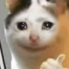 Ola mi vida 7