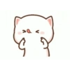 Kitten 22