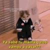 😽Animalitos Anti-depresivos 2 15