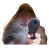 Memes Ricolinos 5