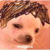 traidora