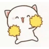 Kitten 19