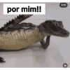 por mim!! 9/20 ROLE E 31