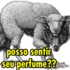Lobo em pele de cordeiro 😏 8