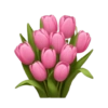 Emoji Iphone Pink 22