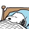 Snoopy🐕🌼🪄 29