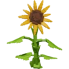 Grow a garden  11