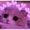 Adesivos de amor 5