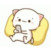 Kitten 10