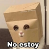 No estoy