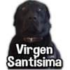 Virgen Santisima