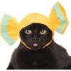 Olhas os gatinhos fofinhos 13