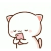 Kitten 17