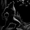 Lone Wolf 🐺  7