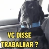 CLT/carteira de trabalho memes 9