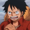 Monkey d. luffy 18