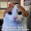 ✔️MEMESITOS QUE NECESITAS 2 🤭 11