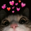 Reações de amor 🥰 12