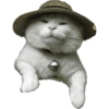 Olhas os gatinhos fofinhos 11