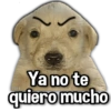 Ya no te quiero mucho PAYI