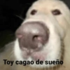 😽Animalitos Anti-depresivos 2 12