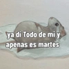ya di Todo de miy apenas es martes