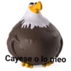 Cayese o lo meo