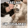 Layla & jake 10