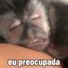 🐒 Macaco pra Reagir 8