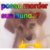 posso morder sua bunda? MACI