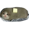 Sad Cats 15
