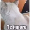 Só deboche 15