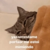 Amor Mood 6