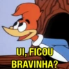 Memes classicos do picapau 11