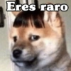 Peyitos Bonitos❤️🐕🥈 6
