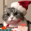 Holiday Surprise
